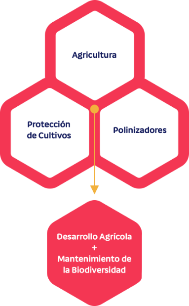 Los polinizadores, como las abejas, son esenciales para la biodiversidad y la producción de alimentos.